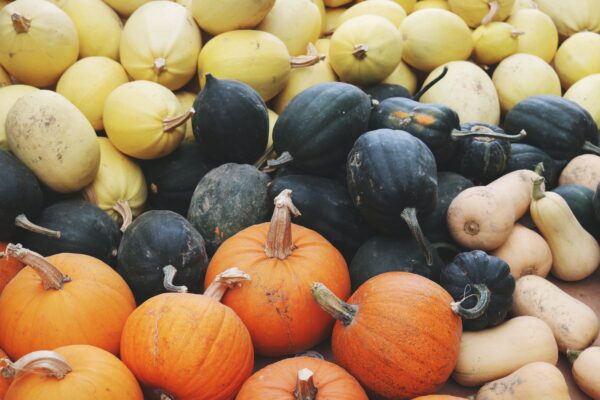 pumpkin types