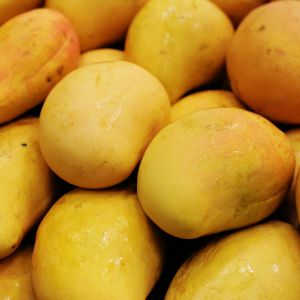 yellow mango images
